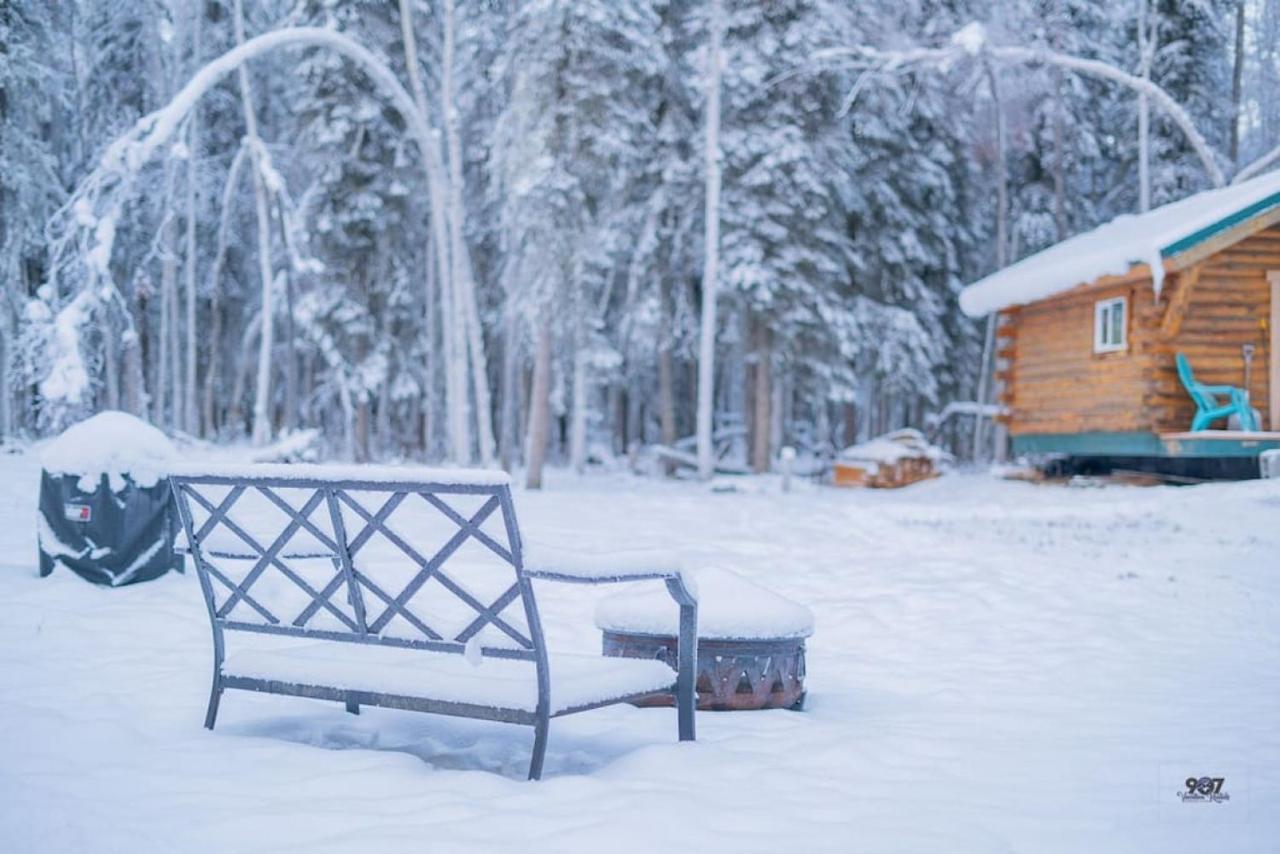 Studio Log Dry Cabin| Aurora Views! Fairbanks Exterior foto